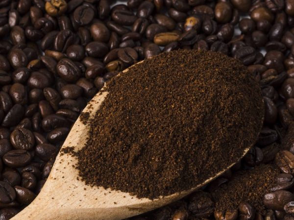 coffee-beans-min